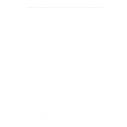 100 Copertine A4 cartoncino groffrato semilpelle 250g bianco Fellowes